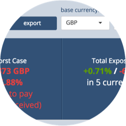 currency risk reports