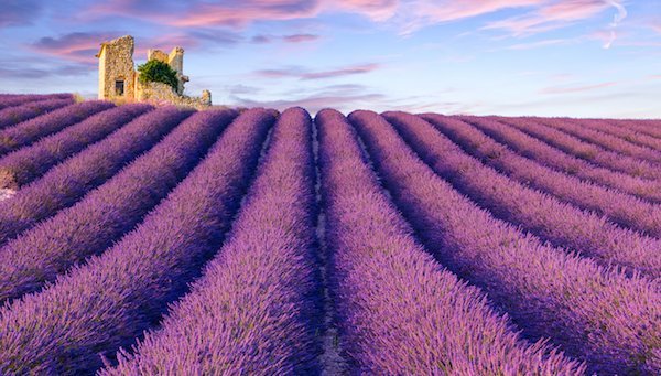 Buying Property in France: A Guide to Planning and Budgeting