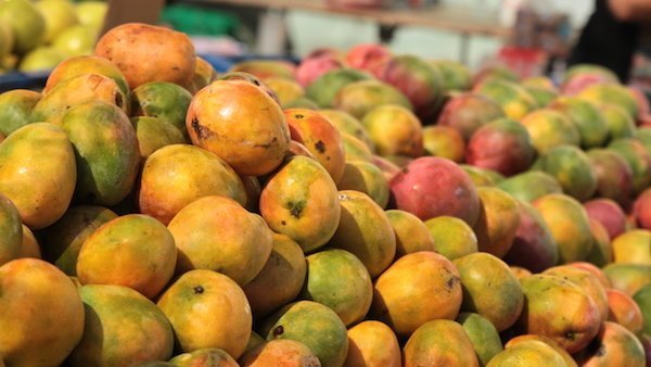 mangos mexico usd pesos retirement