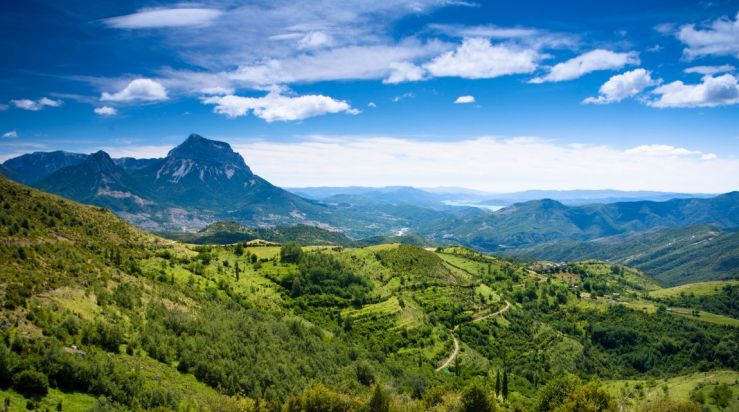 How to send money to New Zealand: a guide for British expats