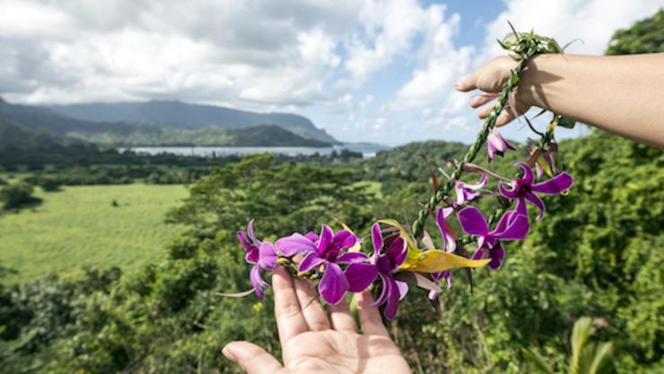 foreign buyer property hawaii